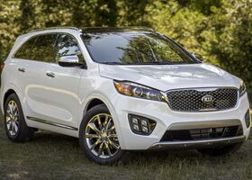 Kia Sorento 2016 на тест-драйве, фото 2