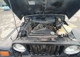 Джип Вранглер 1998 в Европе на Automoto.ua Черный Джип Вранглер, объемом двигателя 2.46 л и пробегом 156 тыс. км за 14900 $, фото 14 на Automoto.ua