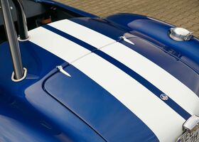 Синій Кобра Інша, об'ємом двигуна 5 л та пробігом 29 тис. км за 80454 $, фото 11 на Automoto.ua