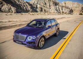 Bentley Bentayga 2017 на тест-драйве, фото 6