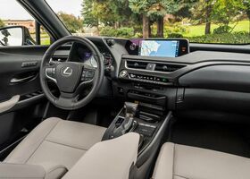 Lexus UX 2020 на тест-драйве, фото 12