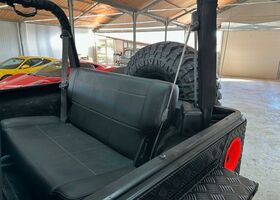 Джип Wrangler 1999 у Європі на Automoto.ua Чорний Джип Wrangler, об'ємом двигуна 3.96 л та пробігом 150 тис. км за 24900 $, фото 8 на Automoto.ua