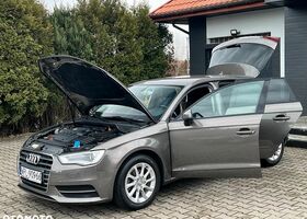 Ауди А3, объемом двигателя 1.97 л и пробегом 214 тыс. км за 9482 $, фото 35 на Automoto.ua