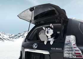 Комплектації автомобіля Lexus GX 2021