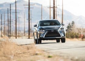 Lexus RX 2019 на тест-драйве, фото 6