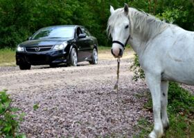 Opel Vectra C null на тест-драйві, фото 6