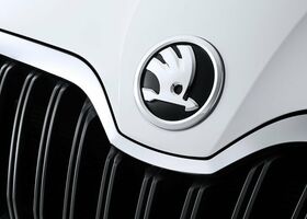 Skoda Yeti 2015 на тест-драйве, фото 11