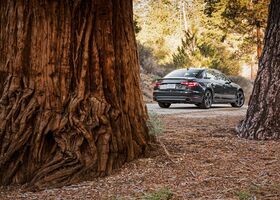 Audi A4 2019 на тест-драйве, фото 8