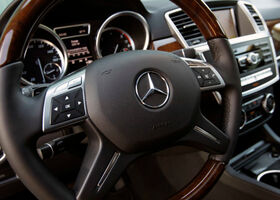 Mercedes-Benz ML-Class null на тест-драйве, фото 12