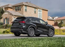 Lexus NX 2018 на тест-драйве, фото 5