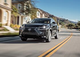 Lexus NX 2018 на тест-драйве, фото 7