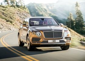 Bentley Bentayga 2016 на тест-драйве, фото 9