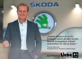 Сірий Шкода Karoq, об'ємом двигуна 1.98 л та пробігом 4 тис. км за 46325 $, фото 28 на Automoto.ua