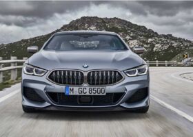 BMW 8 Series 2020 на тест-драйве, фото 3