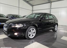 Ауди А3, объемом двигателя 1.39 л и пробегом 169 тыс. км за 5594 $, фото 14 на Automoto.ua