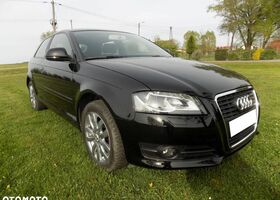 Ауди А3, объемом двигателя 1.6 л и пробегом 154 тыс. км за 5162 $, фото 31 на Automoto.ua