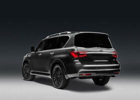 Infiniti QX80 2019 на тест-драйве, фото 5