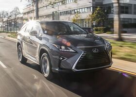 Lexus RX 2018 на тест-драйве, фото 2