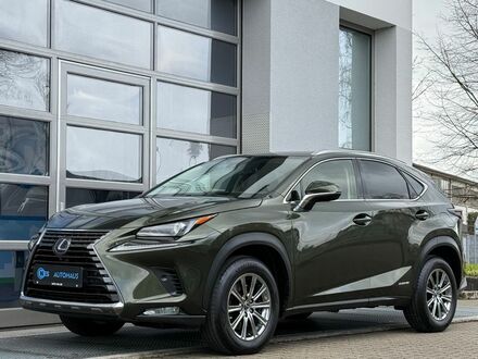 Лексус NX 300 2021 у Європі на Automoto.ua Зелений Лексус NX 300, об'ємом двигуна 2.49 л та пробігом 131 тис. км за 28244 $, фото 1 на Automoto.ua