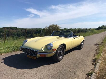 Жовтий Ягуар E-Type, об'ємом двигуна 5.34 л та пробігом 75 тис. км за 80906 $, фото 1 на Automoto.ua