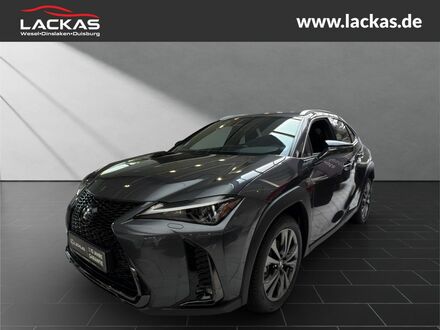 Лексус UX 2025 у Європі на Automoto.ua Сірий Лексус UX, об'ємом двигуна 1.99 л та пробігом 10 тис. км за 45809 $, фото 1 на Automoto.ua