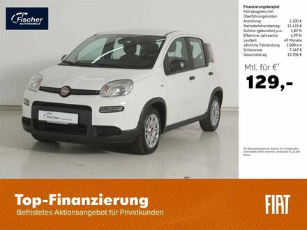 Фиат Панда 2023 в Европе на Automoto.ua Белый Фиат Панда, объемом двигателя 1 л и пробегом 21 тыс. км за 13615 $, фото 1 на Automoto.ua