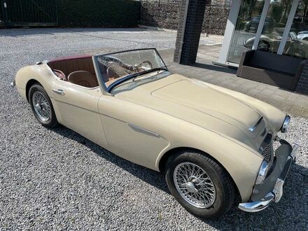 austin healey Другая 1960 в Европе на Automoto.ua Бежевый austin healey Другая, объемом двигателя 2.9 л и пробегом 106 тыс. км за 34103 $, фото 1 на Automoto.ua