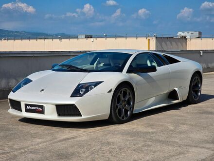 Ламборджині Murcielago 2006 у Європі на Automoto.ua Білий Ламборджині Murcielago, об'ємом двигуна 6.5 л та пробігом 44 тис. км за 364909 $, фото 1 на Automoto.ua