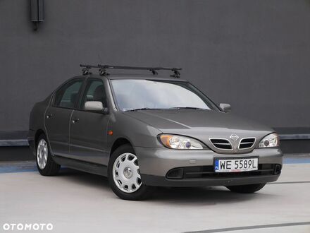 Ниссан Примера 2000 в Европе на Automoto.ua Серый Ниссан Примера, объемом двигателя 1 л и пробегом 123 тыс. км за 7950 $, фото 1 на Automoto.ua