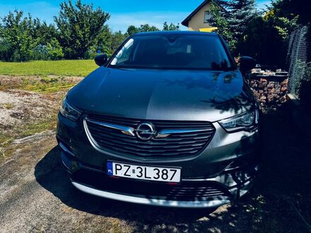 Опель Grandland X 2019 в Европе на Automoto.ua Серый Опель Grandland X, объемом двигателя 1.2 л и пробегом 128000 тыс. км за 59900 $, фото 1 на Automoto.ua