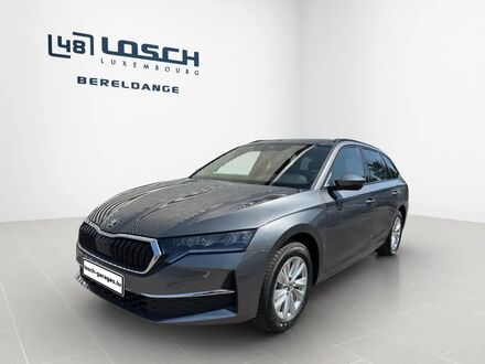 Шкода Октавия 2025 в Европе на Automoto.ua Серый Шкода Октавия, объемом двигателя 1.5 л и пробегом 10 тыс. км за 38790 $, фото 1 на Automoto.ua