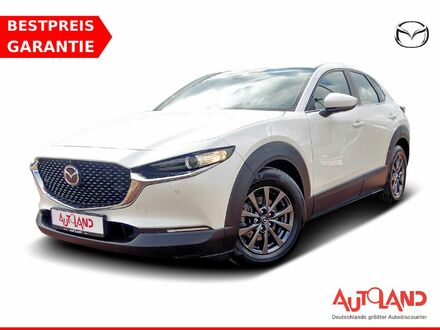 Мазда CX-30 2020 в Европе на Automoto.ua Белый Мазда CX-30, объемом двигателя 2 л и пробегом 80 тыс. км за 24891 $, фото 1 на Automoto.ua