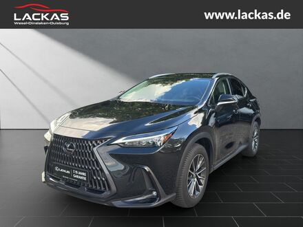 Лексус NX 300 2024 в Европе на Automoto.ua Черный Лексус NX 300, объемом двигателя 2.49 л и пробегом 29 тыс. км за 58435 $, фото 1 на Automoto.ua