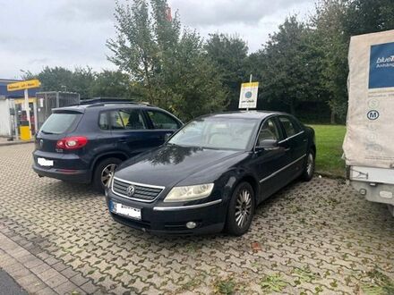 Фольксваген Фаетон 2007 в Европе на Automoto.ua Черный Фольксваген Фаетон, объемом двигателя 2.97 л и пробегом 275 тыс. км за 3333 $, фото 1 на Automoto.ua