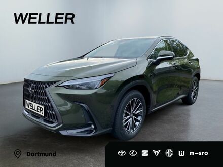 Лексус NX 450 2025 в Европе на Automoto.ua Зеленый Лексус NX 450, объемом двигателя 2.49 л и пробегом 10 тыс. км за 65452 $, фото 1 на Automoto.ua
