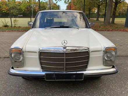 Мерседес 200 1974 в Европе на Automoto.ua Белый Мерседес 200, объемом двигателя 1.99 л и пробегом 145 тыс. км за 6598 $, фото 1 на Automoto.ua