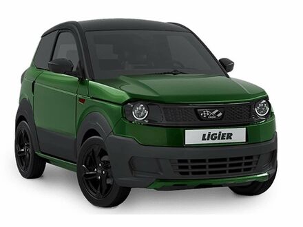 Чорний Ligier Myli, об'ємом двигуна 0 л та пробігом 5 тис. км за 16281 $, фото 1 на Automoto.ua