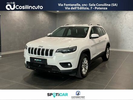 Джип Cherokee 2019 у Європі на Automoto.ua Білий Джип Cherokee, об'ємом двигуна 2.18 л та пробігом 58 тис. км за 23999 $, фото 1 на Automoto.ua
