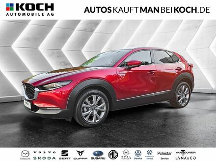 Мазда CX-30 2024 у Європі на Automoto.ua Червоний Мазда CX-30, об'ємом двигуна 2.49 л та пробігом 21 тис. км за 32482 $, фото 1 на Automoto.ua