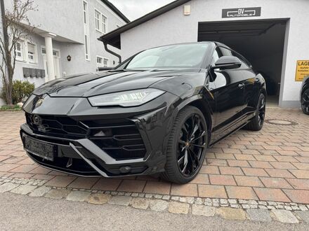 Ламборджини Урус 2021 в Европе на Automoto.ua Черный Ламборджини Урус, объемом двигателя 4 л и пробегом 63 тыс. км за 248518 $, фото 1 на Automoto.ua
