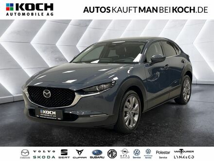 Мазда CX-30 2024 у Європі на Automoto.ua Сірий Мазда CX-30, об'ємом двигуна 2.49 л та пробігом 19 тис. км за 34198 $, фото 1 на Automoto.ua