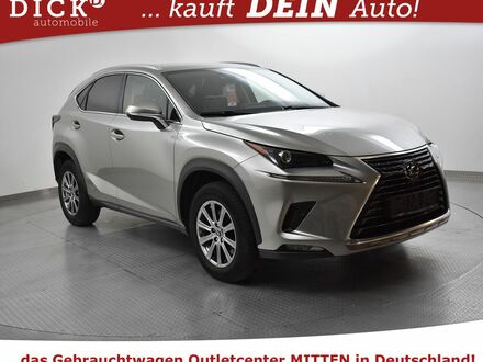 Лексус NX 300 2020 в Европе на Automoto.ua Серый Лексус NX 300, объемом двигателя 2.49 л и пробегом 134 тыс. км за 24805 $, фото 1 на Automoto.ua