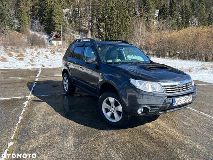 Субару Forester, об'ємом двигуна 2.46 л та пробігом 290 тис. км за 6479 $, фото 1 на Automoto.ua