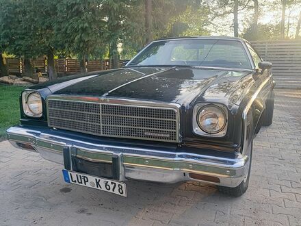 Шевроле El Camino 1974 в Европе на Automoto.ua Черный Шевроле El Camino, объемом двигателя 7.4 л и пробегом 95 тыс. км за 79000 $, фото 1 на Automoto.ua