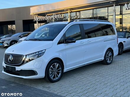 Мерседес EQV 2023 в Европе на Automoto.ua Белый Мерседес EQV, объемом двигателя 0 л и пробегом 10 тыс. км за 335790 $, фото 1 на Automoto.ua