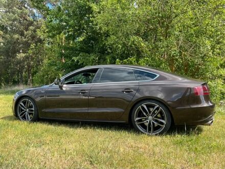 Ауді S5 2010 у Європі на Automoto.ua Ауді S5, об'ємом двигуна 3 л та пробігом 241 тис. км за 9195 $, фото 1 на Automoto.ua