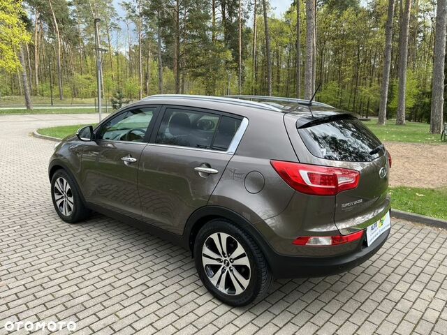 Киа Sportage, объемом двигателя 1.69 л и пробегом 226 тыс. км за 8639 $, фото 6 на Automoto.ua