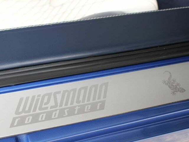 Синій Вісманн MF 4, об'ємом двигуна 4.4 л та пробігом 47 тис. км за 204194 $, фото 19 на Automoto.ua