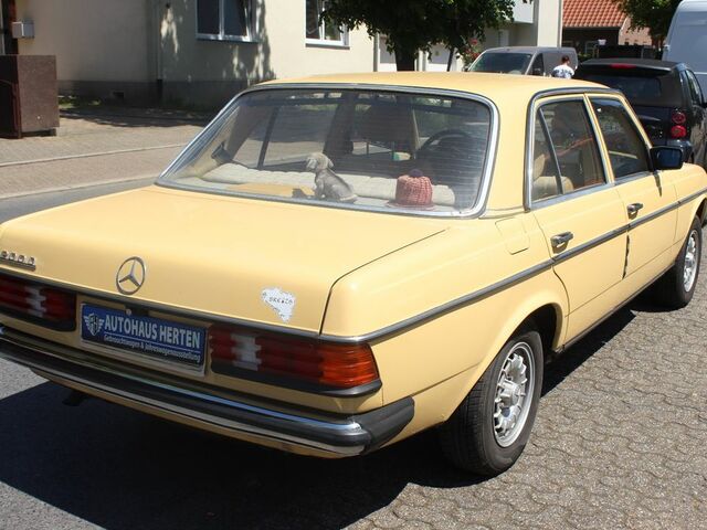 Мерседес 200 1983 в Европе на Automoto.ua Оранжевый Мерседес 200, объемом двигателя 1.97 л и пробегом 160 тыс. км за 8273 $, фото 6 на Automoto.ua