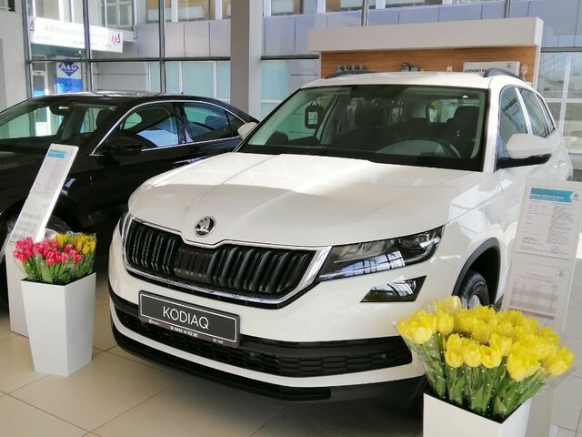 Купити нове авто  у Житомирі в автосалоні "Опад Skoda" | Фото 5 на Automoto.ua